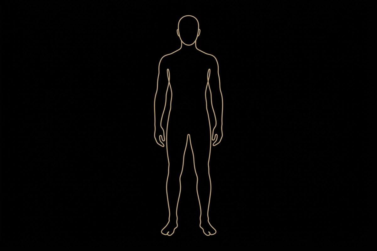 Camada: Corpo